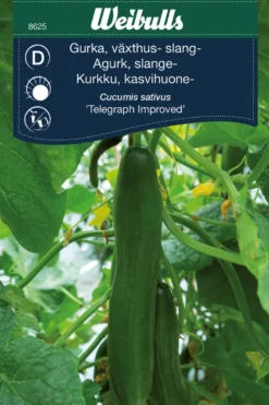 Agurk, 'Telegraph Improved'