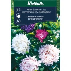 Asters lav sommer