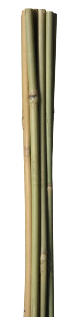 Bambuspinne 90 cm 4 stk.