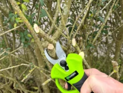 Beskjæringssaks oppladbar 21 V 2,0 Ah – Garden®