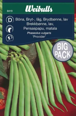 Brekkbønne, lav 'Provider', stor pakke