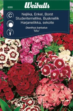 Busknellik "Mix"