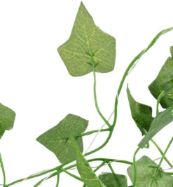 Eføygirlander med 20 LED-pærer – Garden®
