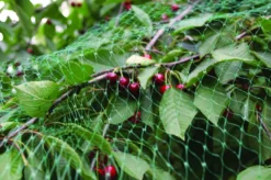 Fuglenett 4 x 5 meter - Garden®