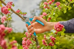 Gardena beskjæringssaks EasyCut