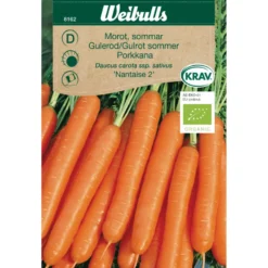 Gulrot, sommer økologisk - Nantaise 2