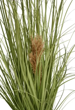 Kunstgress med ekte pampas 120 cm