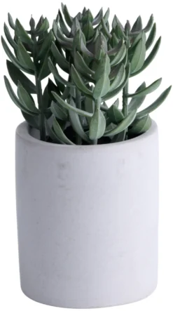 Kunstig plante tetragona H19 cm