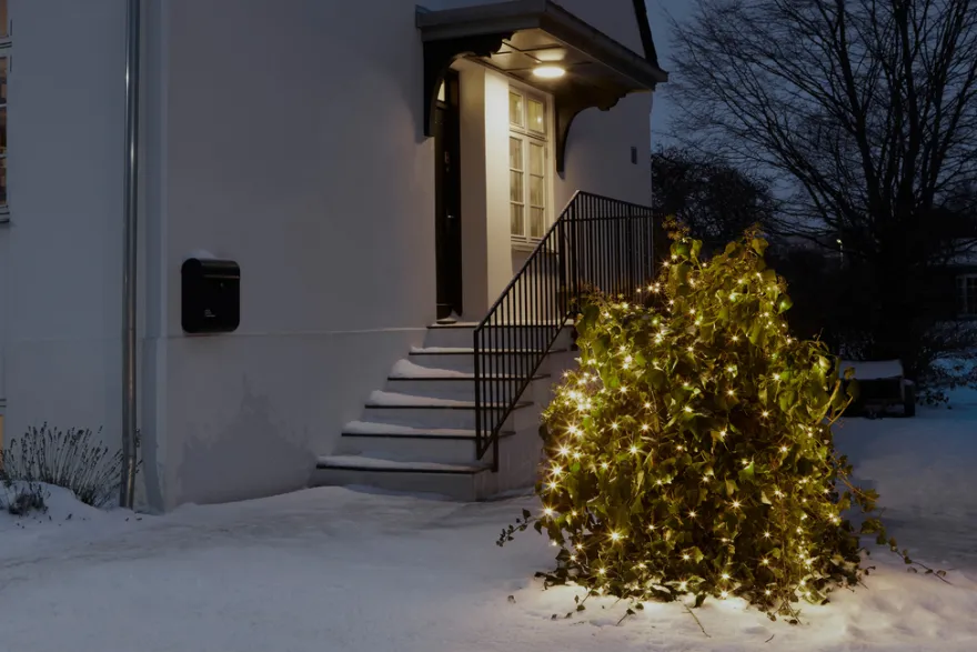 Lysnett med 240 LED-pærer 1,5 x 2 meter