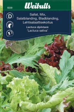 Salatblanding 'Baby Leaf'
