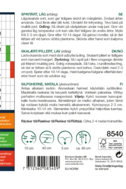 Skallert, lav 'Petit Provencal'