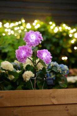 Solcelleblomst Hortensia – Garden®
